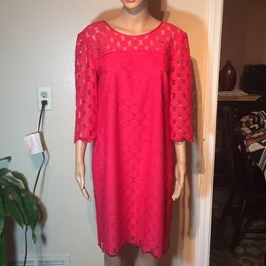 Adrianna Papell beautiful dress